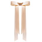 Blushy™ | Ribbon Hair Clip
